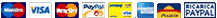 Donate with Credit Card